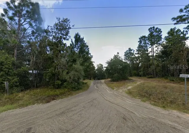 Photo 3 of Land for sale at Centerwood Rd, Florahome, FL 32140 | MLS# TB8538559 | Listing updated on 2026-08-14