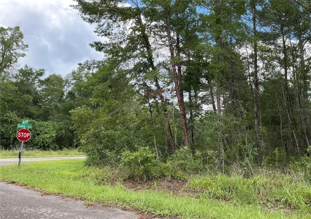 3rd image of Lot 1 Bay Court Pass, Ocklawaha, FL 32179 | MLS# OM730344