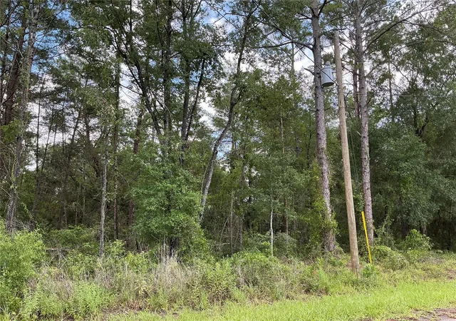 4th image of Lot 1 Bay Court Pass, Ocklawaha, FL 32179 | MLS# OM730344