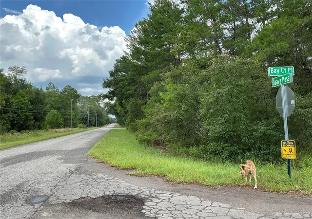 5th image of Lot 1 Bay Court Pass, Ocklawaha, FL 32179 | MLS# OM730344