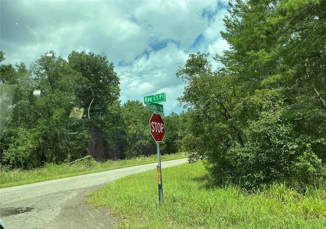 8th image of Lot 1 Bay Court Pass, Ocklawaha, FL 32179 | MLS# OM730344