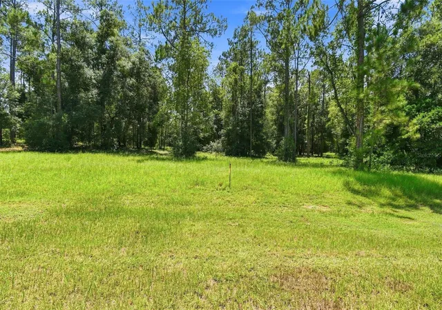 3rd image of 24150 Greenwood Xing, Eustis, FL 32736 | MLS# O6433296