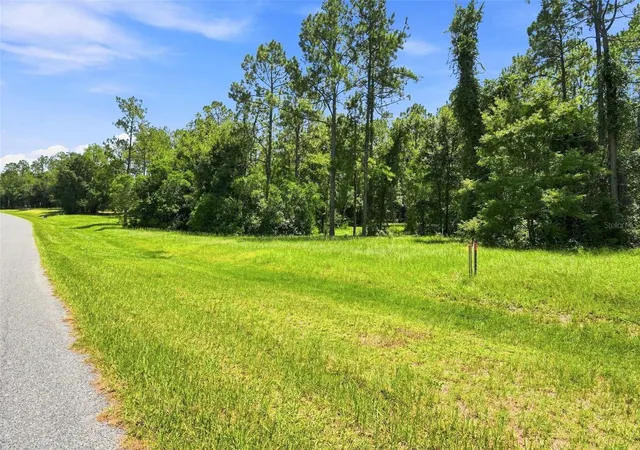 5th image of 24150 Greenwood Xing, Eustis, FL 32736 | MLS# O6433296