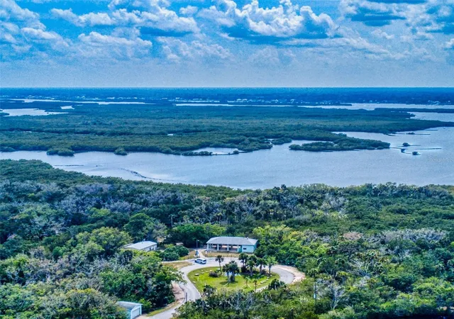 49th image of 133 Cedar Dunes Dr, New Smyrna Beach, FL 32169 | MLS# NS1088995