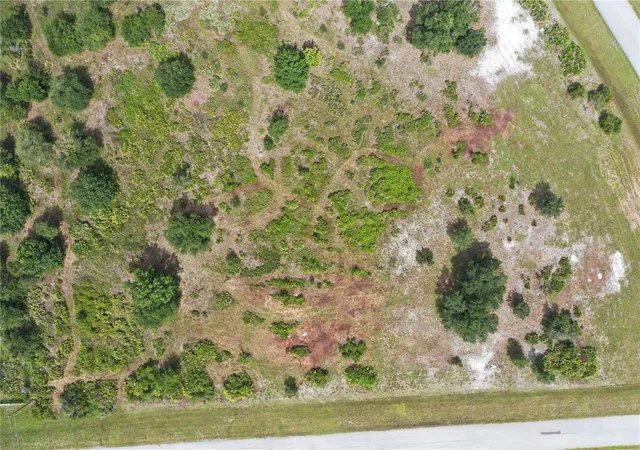 Photo 2 of Land for sale at 40710 11th Avenue E, Myakka City, FL 34251 | MLS# A4702919 | Listing updated on 2026-08-26