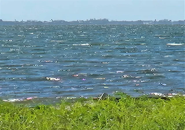 2nd image of 333 N Shore Dr, Sarasota, FL 34234 | MLS# A4702924
