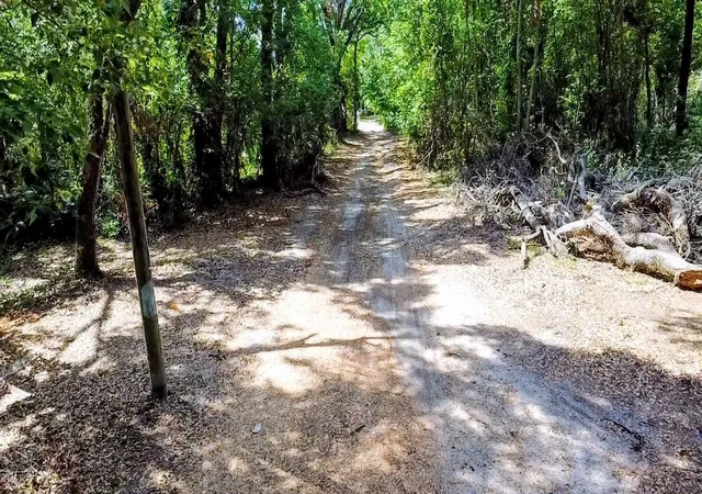 4th image of 6981 Holly St, Mount Dora, FL 32757 | MLS# O6433387