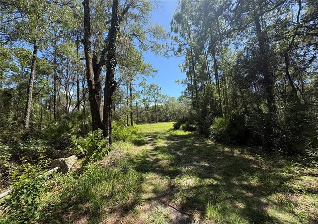 1st image of 394 N Florene Pt, Crystal River, FL 34429 | MLS# TB8538685
