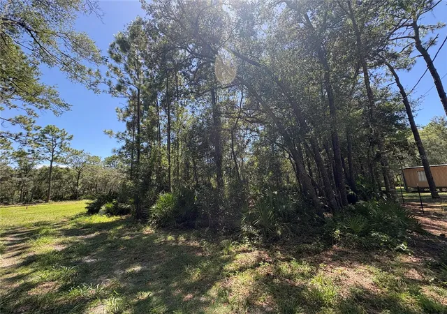 2nd image of 394 N Florene Pt, Crystal River, FL 34429 | MLS# TB8538685