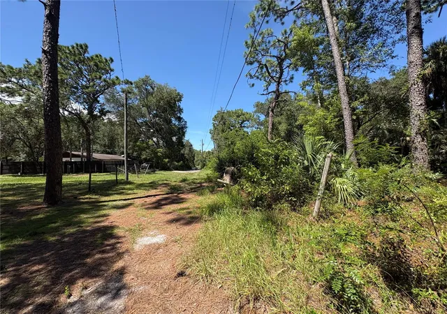 28th image of 394 N Florene Pt, Crystal River, FL 34429 | MLS# TB8538685