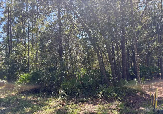 3rd image of 394 N Florene Pt, Crystal River, FL 34429 | MLS# TB8538685