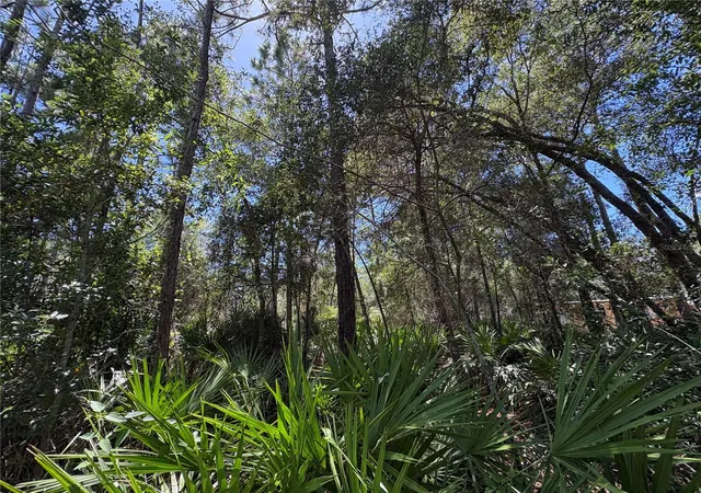 5th image of 394 N Florene Pt, Crystal River, FL 34429 | MLS# TB8538685