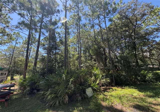 Photo 3 of Land for sale at 394 N Florene Point, Crystal River, FL 34429 | MLS# TB8538685 | Listing updated on 2026-08-31
