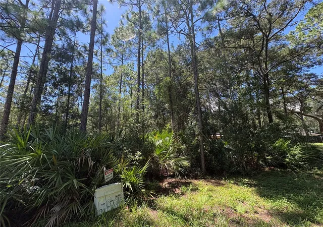 Photo 3 of Land for sale at 394 N Florene Point, Crystal River, FL 34429 | MLS# TB8538685 | Listing updated on 2026-08-31