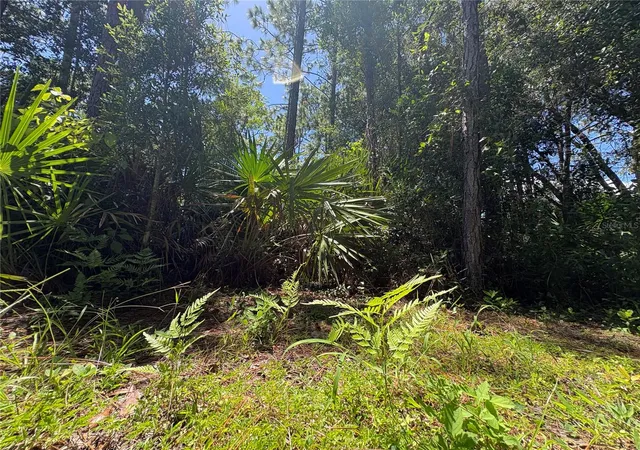 Photo 4 of Land for sale at 394 N Florene Point, Crystal River, FL 34429 | MLS# TB8538685 | Listing updated on 2026-08-31