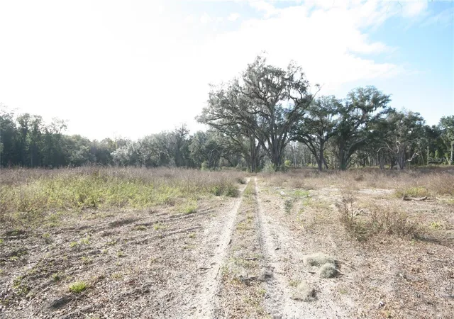 Photo 3 of Land for sale at US Hwy 301 12 Acres, Citra, FL 32113 | MLS# TB8538750 | Listing updated on 2026-08-21