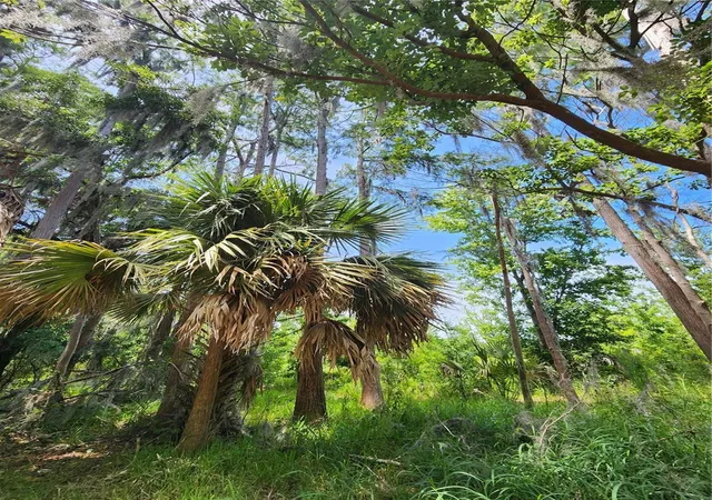 2nd image of Arrowhead Blvd, Winter Garden, FL 34787 | MLS# S5155609