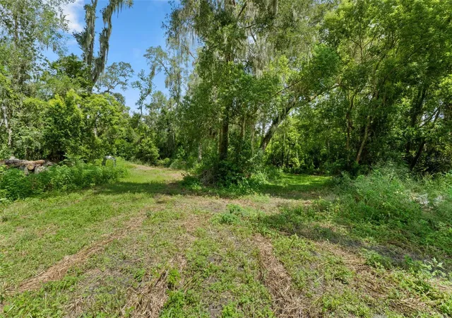 Photo 4 of Land for sale at 0 Trilby Cutoff Rd, Dade City, FL 33523 | MLS# W7888597 | Listing updated on 2026-09-16