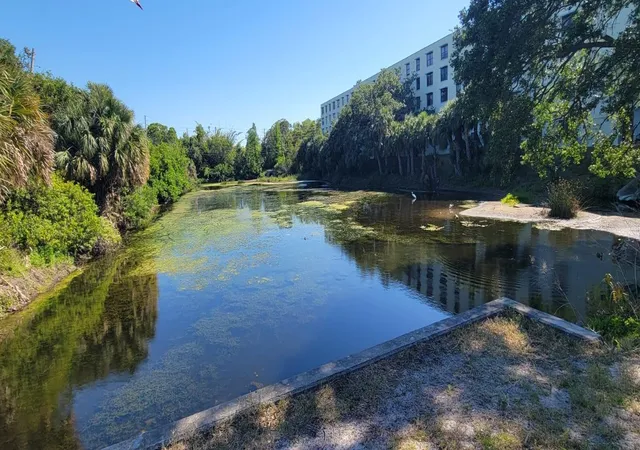 Photo 2 of Condo for sale at 701 S Madison Ave #316, Clearwater, FL 33756 | MLS# TB8538827 | Listing updated on 2026-09-14