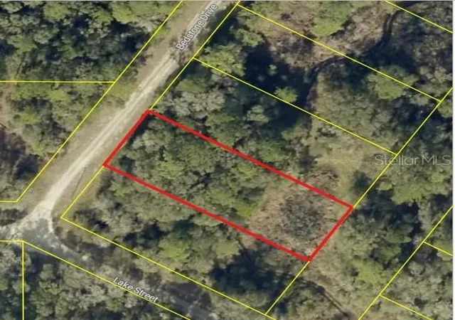 2nd image of 0 Bedstone Dr, Webster, FL 33597 | MLS# W7888599