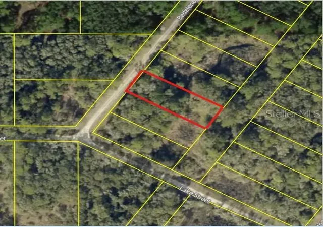 4th image of 0 Bedstone Dr, Webster, FL 33597 | MLS# W7888599