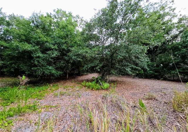 Photo 2 of Land for sale at Avon Park Cutoff Rd, Fort Meade, FL 33841 | MLS# B4902334 | Listing updated on 2026-08-14