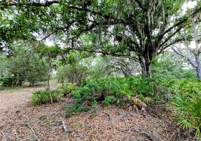 Photo 3 of Land for sale at Avon Park Cutoff Rd, Fort Meade, FL 33841 | MLS# B4902334 | Listing updated on 2026-08-14