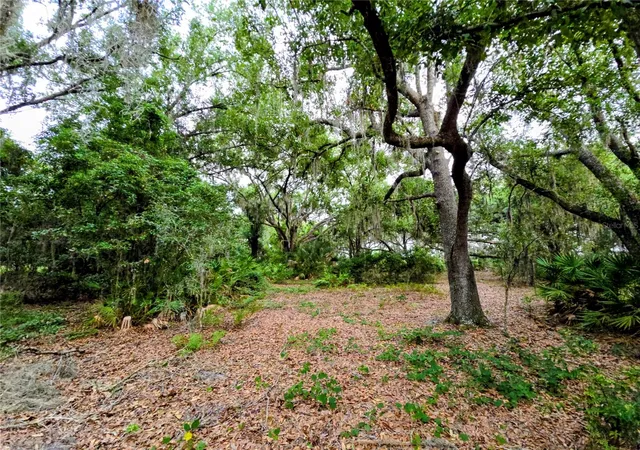 Photo 4 of Land for sale at Avon Park Cutoff Rd, Fort Meade, FL 33841 | MLS# B4902334 | Listing updated on 2026-08-14