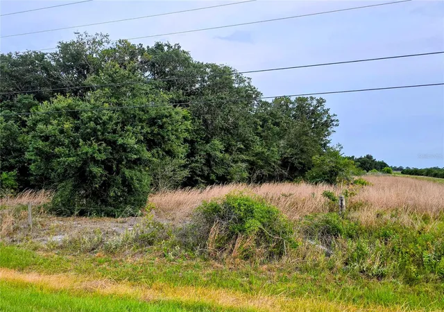 Photo 5 of Land for sale at Avon Park Cutoff Rd, Fort Meade, FL 33841 | MLS# B4902334 | Listing updated on 2026-08-14
