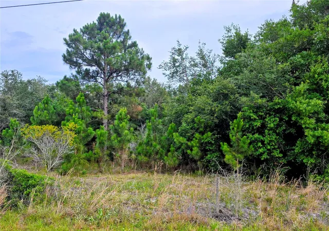 Photo 2 of Land for sale at 0 Avon Park Cutoff Rd, Fort Meade, FL 33841 | MLS# B4902335 | Listing updated on 2026-08-14