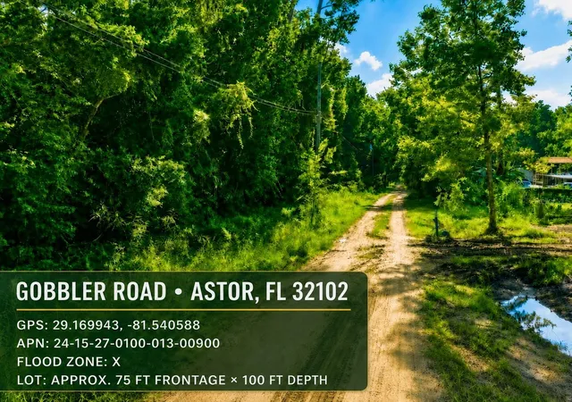 1st image of Gobbler Rd, Astor, FL 32102 | MLS# TB8538882