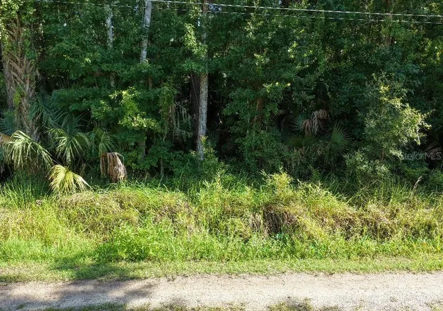 2nd image of Gobbler Rd, Astor, FL 32102 | MLS# TB8538882