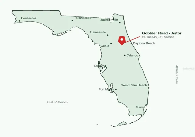 33rd image of Gobbler Rd, Astor, FL 32102 | MLS# TB8538882