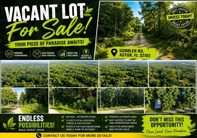 Land for sale at Gobbler Rd, ASTOR, FL 32102 | MLS# TB8538882