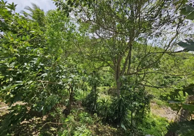 Photo 3 of Sale Pending at 7730 Km02 Honduras, Cidra, PR 00739 | MLS# PR9123407 | Listing updated on 2026-08-15