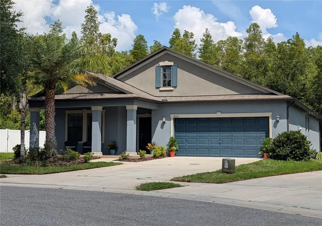 1st image of 19255 Alexandrea Lee Ct, Land O Lakes, FL 34638 | MLS# TB8538923