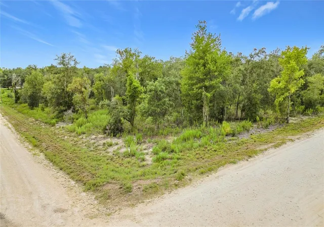 Photo 4 of Land for sale at 0 SE 68th Terrace, Morriston, FL 32668 | MLS# O6433631 | Listing updated on 2026-08-15