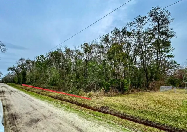 Photo 3 of Land for sale at 10230 Weatherby Ave, Hastings, FL 32145 | MLS# FC320692 | Listing updated on 2026-09-12