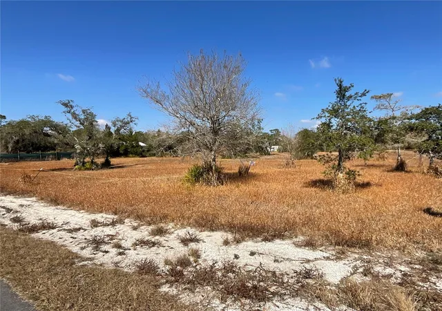 1st image of 490 Hobbs Dr, Venus, FL 33960 | MLS# C7529586