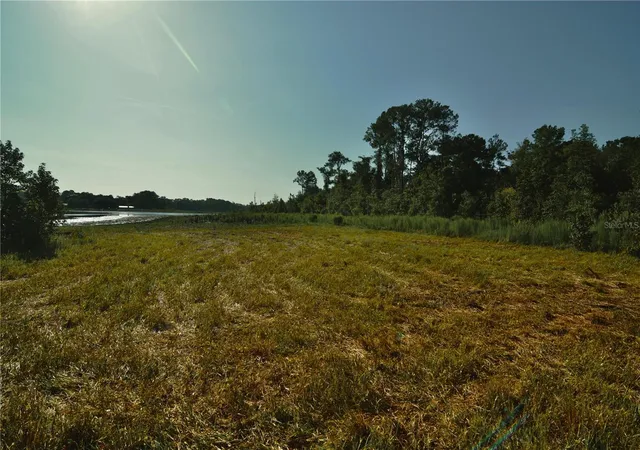 2nd image of 00 Hall Lake Rd, Keystone Heights, FL 32656 | MLS# OM730441