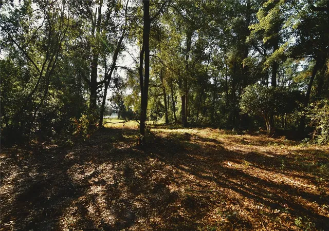 4th image of 00 Hall Lake Rd, Keystone Heights, FL 32656 | MLS# OM730441