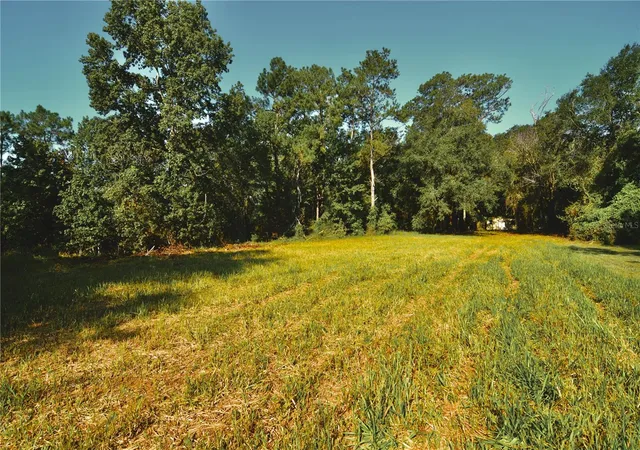 5th image of 00 Hall Lake Rd, Keystone Heights, FL 32656 | MLS# OM730441
