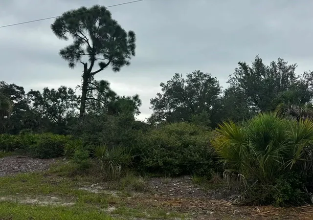 Photo 1 of Land for sale at 17459 Plains Ave, Port Charlotte, FL 33948 | MLS# O6433703 | Listing updated on 2026-08-24