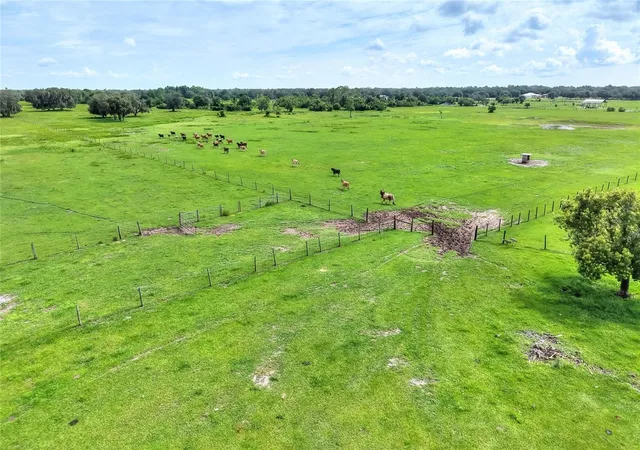 63rd image of 9111 Lake Buffum Rd N, Fort Meade, FL 33841 | MLS# TB8539042