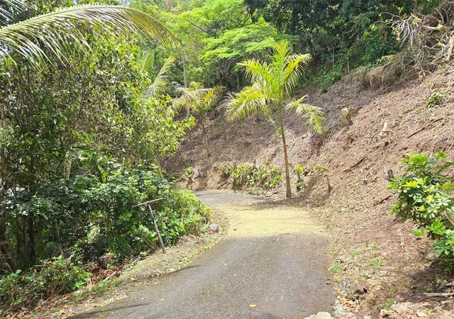 Photo 2 of Sale Pending at Pr 156 Km 239 Rio Hondo Ward, Comerio, PR 00782 | MLS# PR9123425 | Listing updated on 2026-09-04