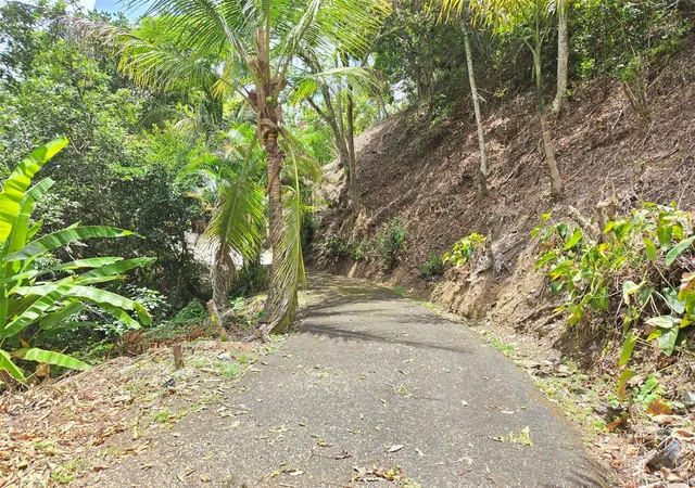 Photo 3 of Sale Pending at Pr 156 Km 239 Rio Hondo Ward, Comerio, PR 00782 | MLS# PR9123425 | Listing updated on 2026-09-04