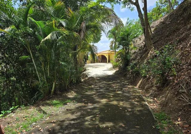Photo 4 of Sale Pending at Pr 156 Km 239 Rio Hondo Ward, Comerio, PR 00782 | MLS# PR9123425 | Listing updated on 2026-09-04