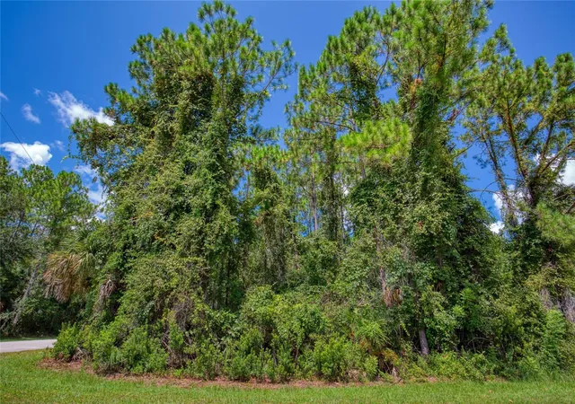 4th image of 32 Uhl Path, Palm Coast, FL 32164 | MLS# FC320701