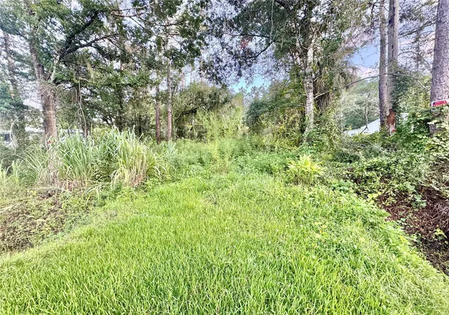 3rd image of 18704 16Th Ave, Orlando, FL 32833 | MLS# O6433847
