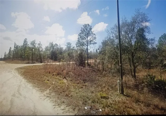 1st image of Tinamou Ave, Brooksville, FL 34614 | MLS# TB8539209